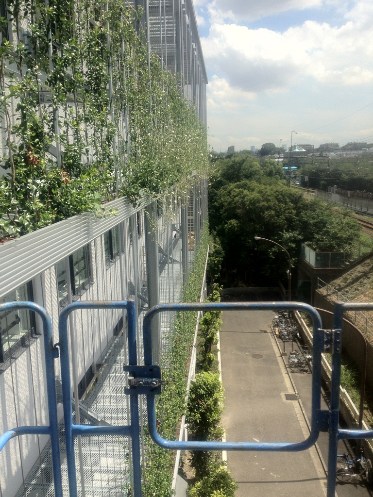 高井戸地域区民センター壁面緑化メンテナンス